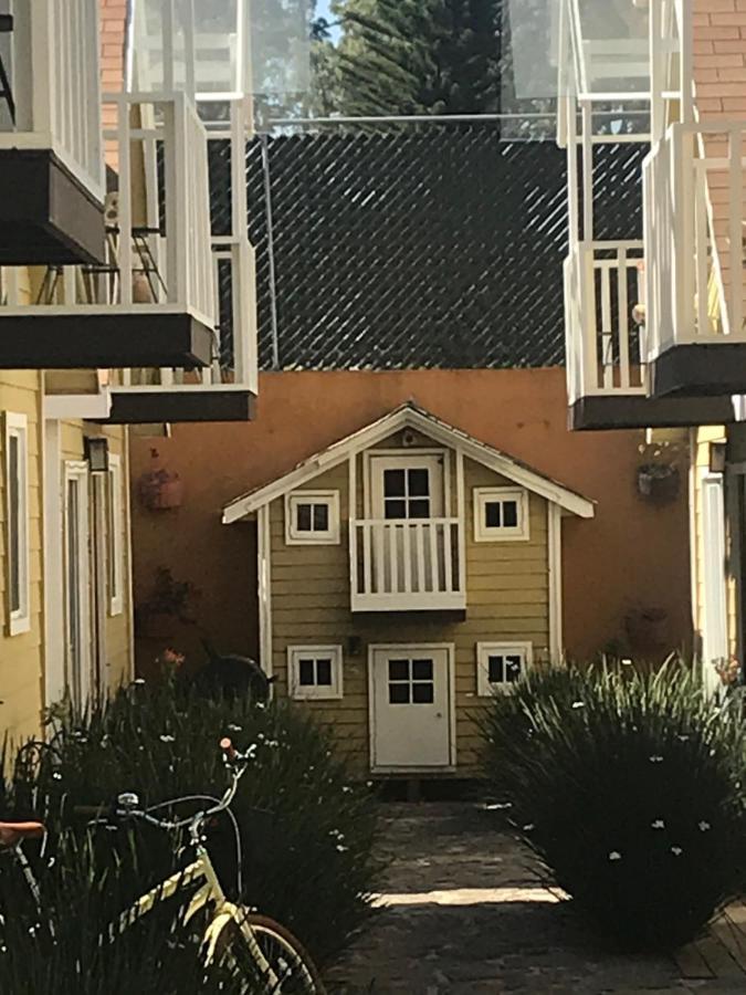 ואלה דה בראבו Cabanas Salamandras Avandaro מראה חיצוני תמונה