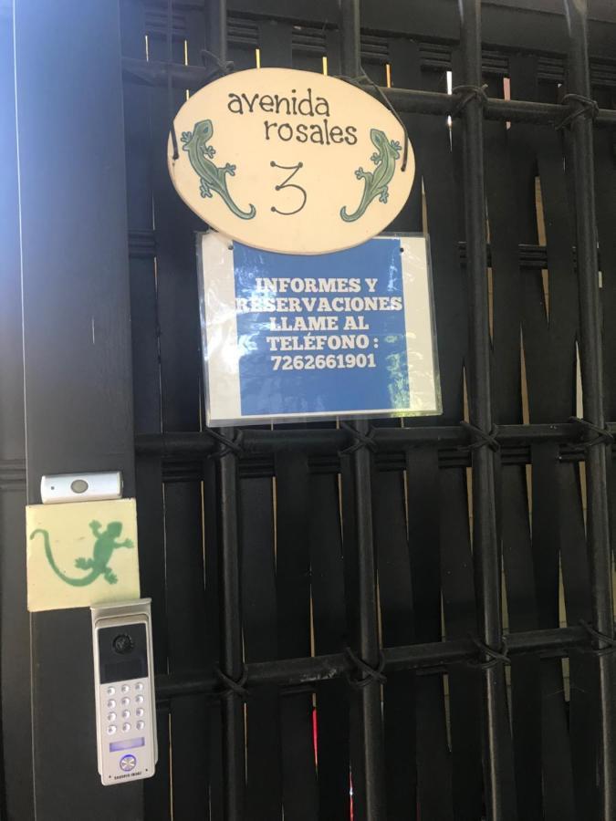 ואלה דה בראבו Cabanas Salamandras Avandaro מראה חיצוני תמונה