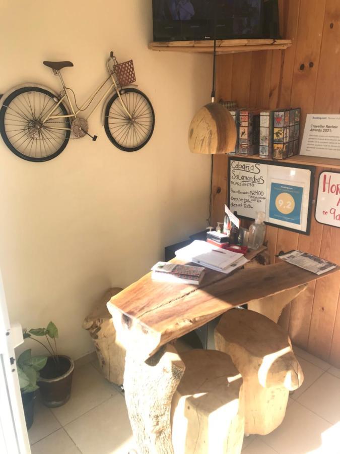 ואלה דה בראבו Cabanas Salamandras Avandaro מראה חיצוני תמונה